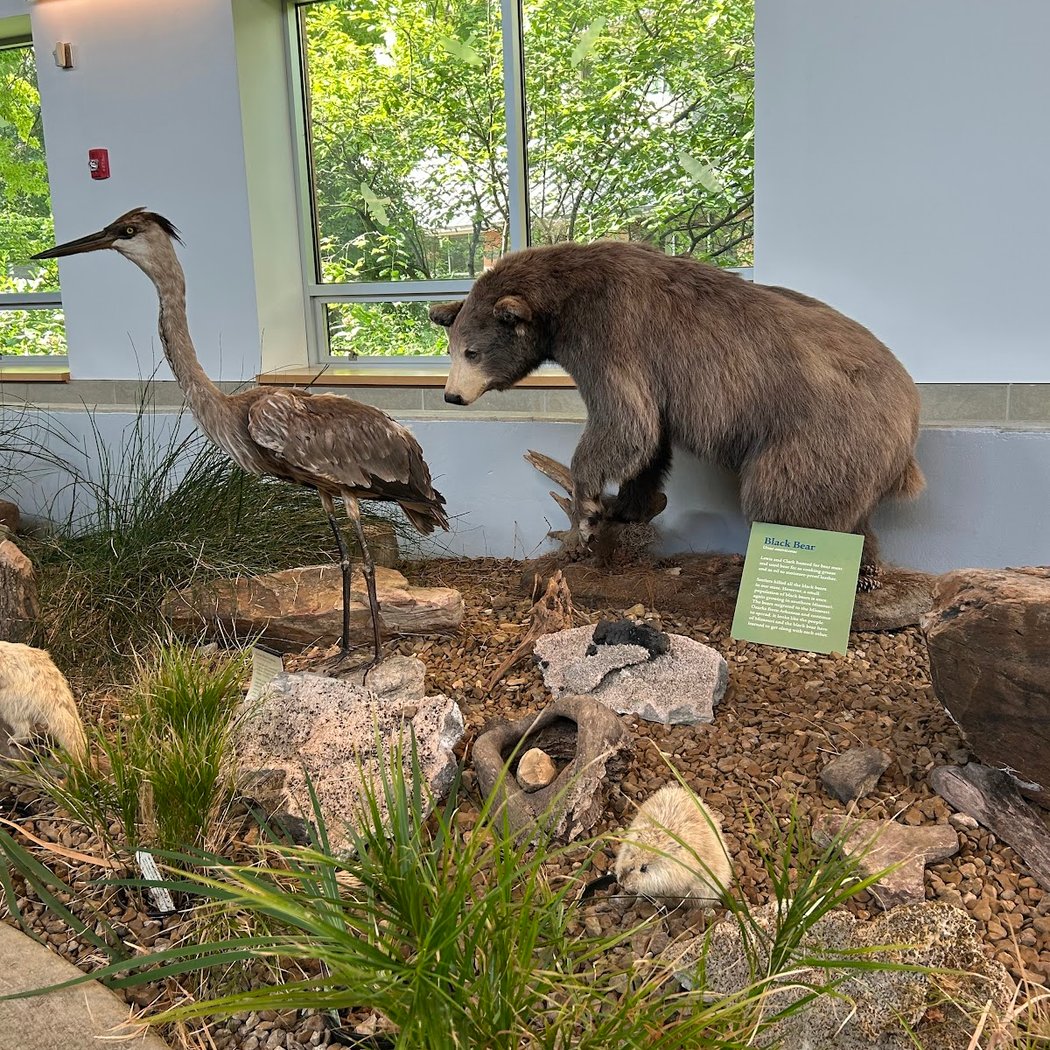 Anita B. Gorman Conservation Discovery Center 5